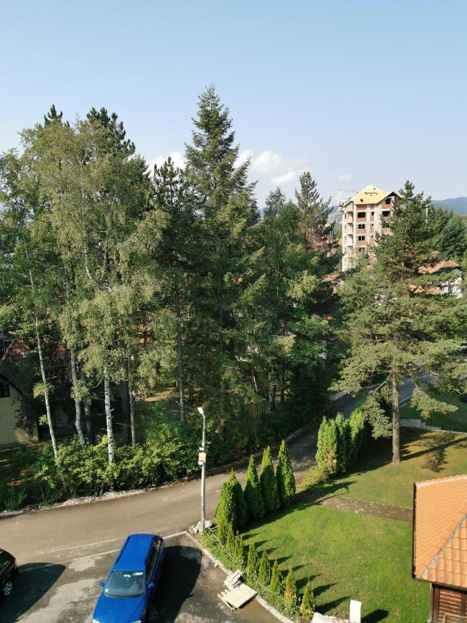 Apartman Stefanovic Vila Darija Lux Zlatibor Esterno foto