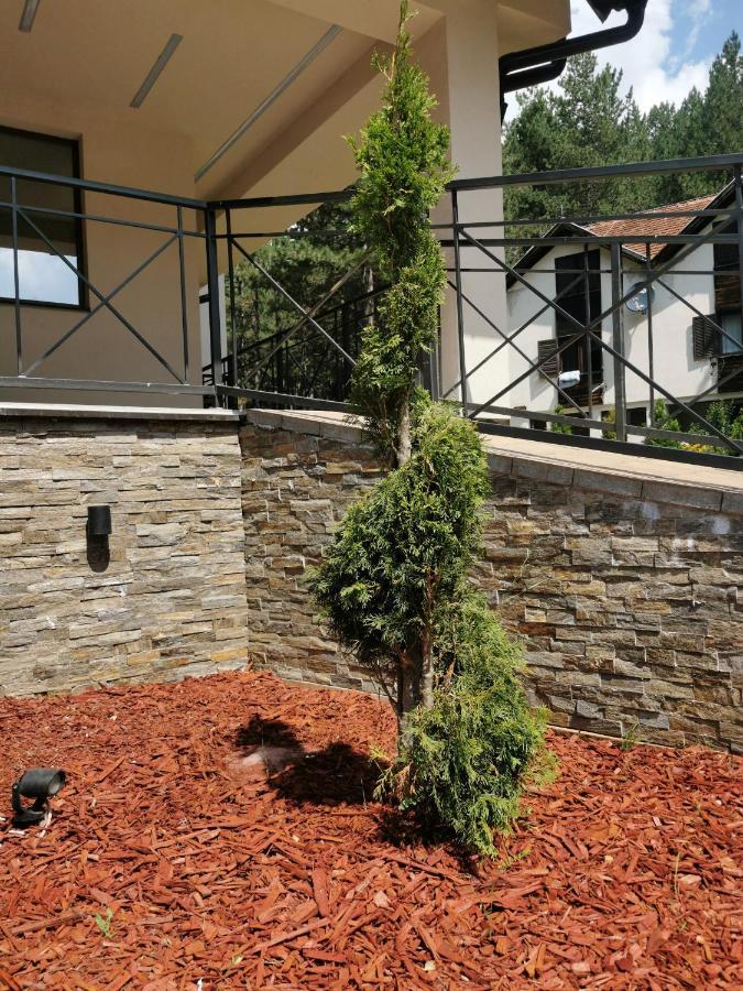 Apartman Stefanovic Vila Darija Lux Zlatibor Esterno foto